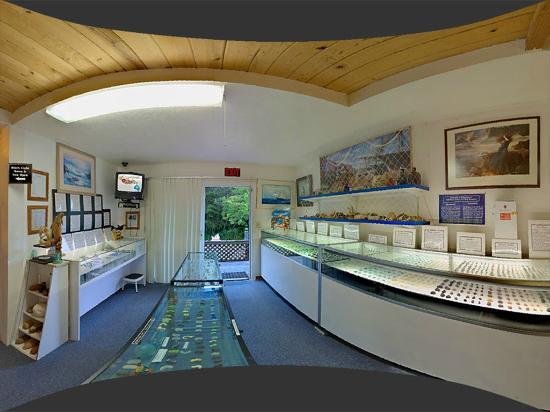 Sea Glass Museum